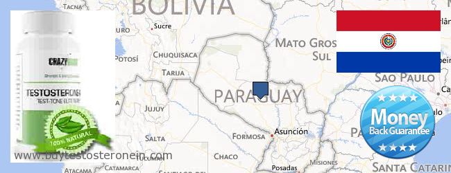 Πού να αγοράσετε Testosterone σε απευθείας σύνδεση Paraguay